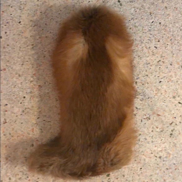 DOLCE & GABBANA RUNWAY - Picture 2 of 8